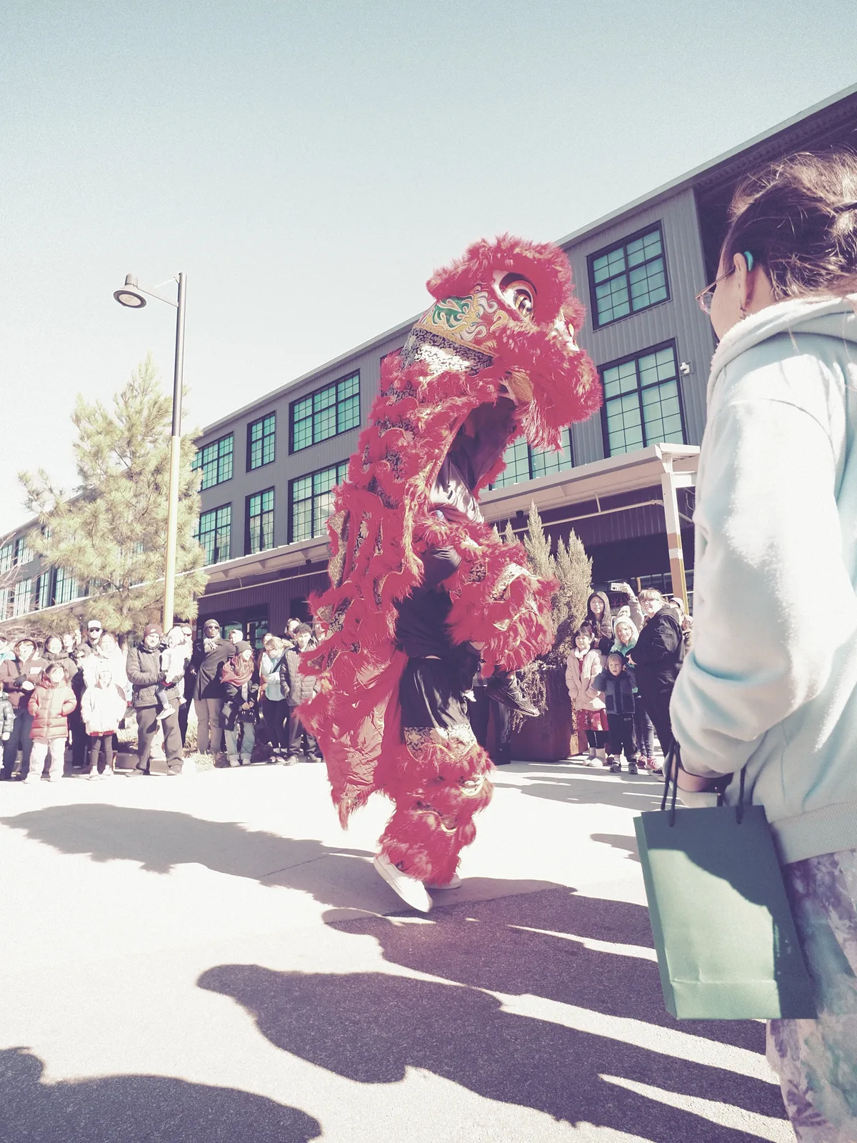 Lunar New Year photograph 8